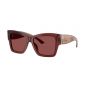 DOLCE & GABBANA 4493 304575 55