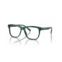 DOLCE & GABBANA KIDS 3356 3008 49