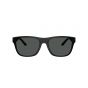 EMPORIO ARMANI 4243 5001T3 56