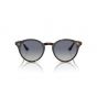 RAY-BAN 2180 710/4L 49